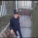 Falha em Portaria Virtual Permite Entrada de Bandidos em Edifício na Vila Leopoldina